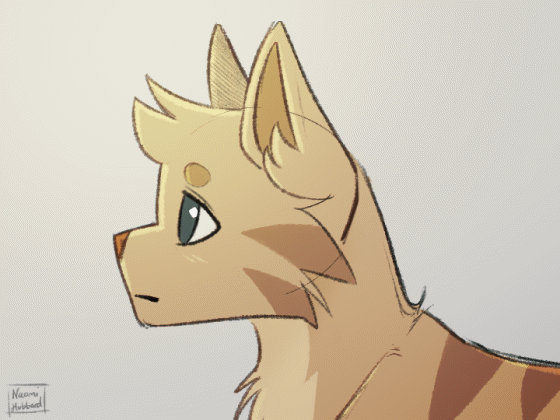 Cat animation by NaomiHubbard276 on DeviantArt