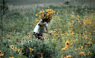 gathering wildflowers no. 2