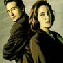 THE X FILES