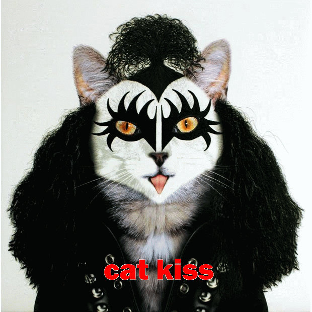 KISS CAT animated by hetorakelt on DeviantArt
