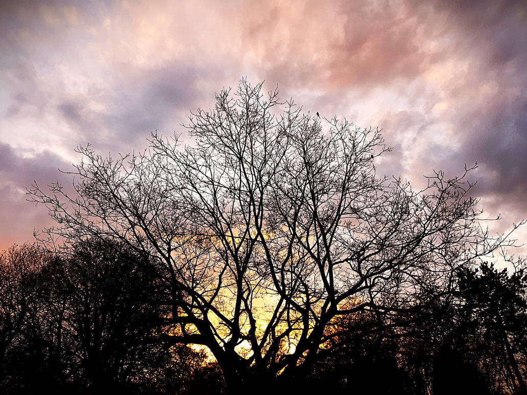 alphen aan den rijn by hetorakelt on DeviantArt