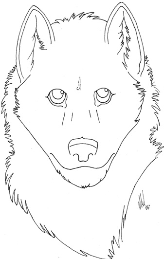 Wolf Head 1