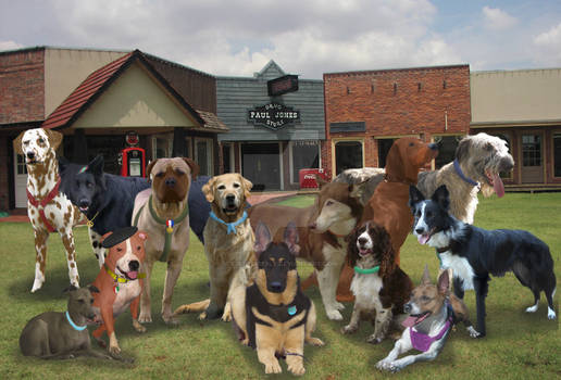 Real-Life Canis Springs Group Shot