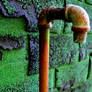 Rusted Pipe Green Background