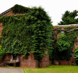 Ivy Covered Abandoned Asylum