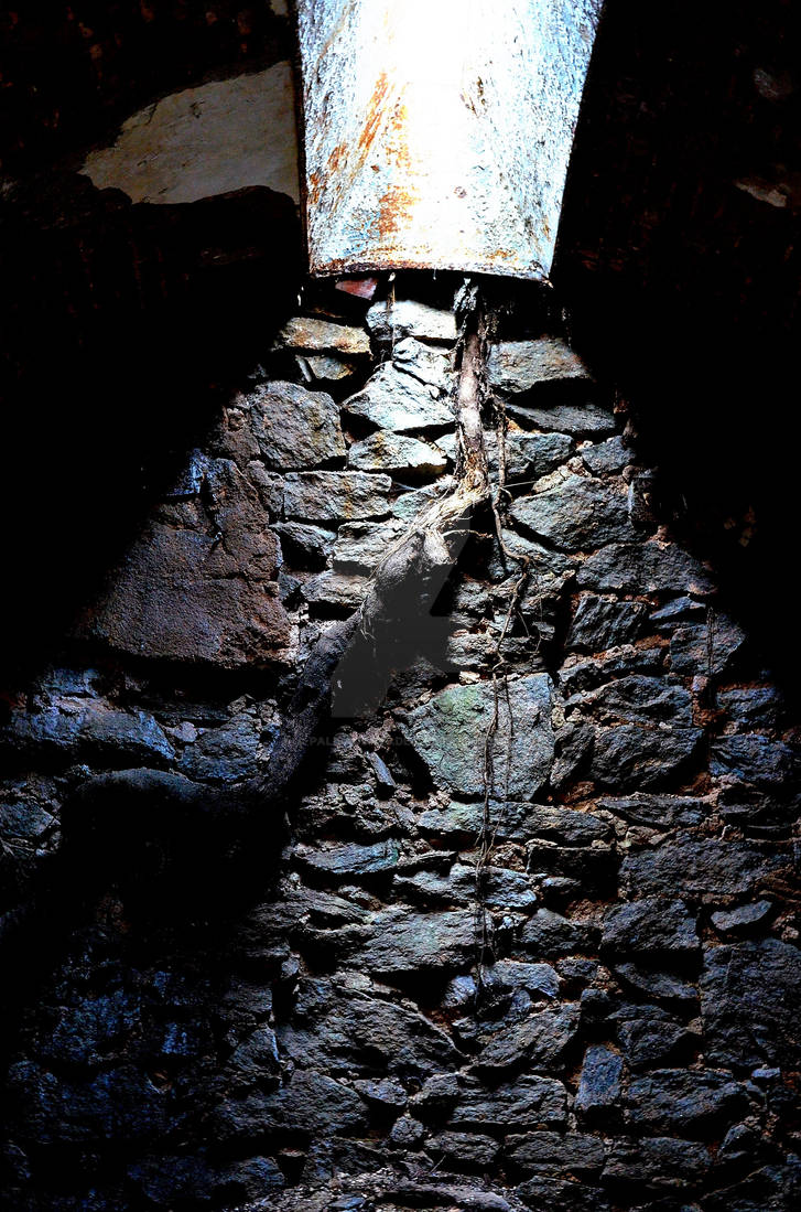 Tree Prison Cell Old Prison Tree in Cell by PAlisauskas on DeviantArt