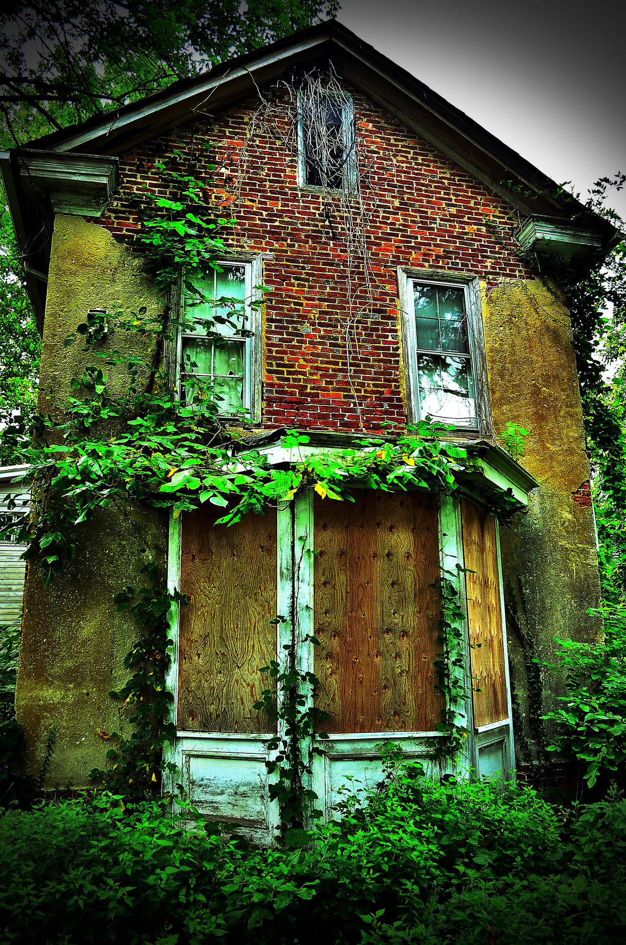 Front Of the Abandoned House