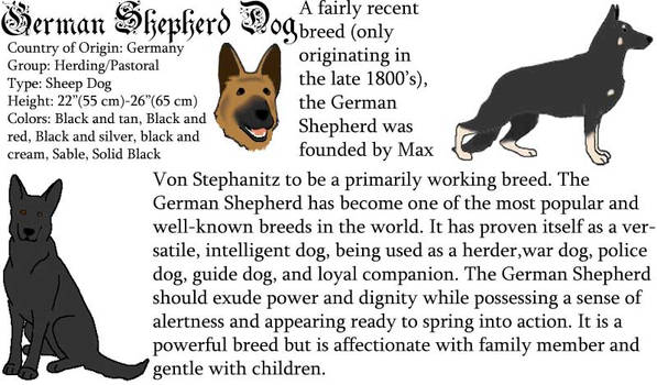 German Shepherd Dog