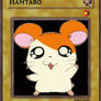 Hamtaro Yu-Gi-Oh! Card