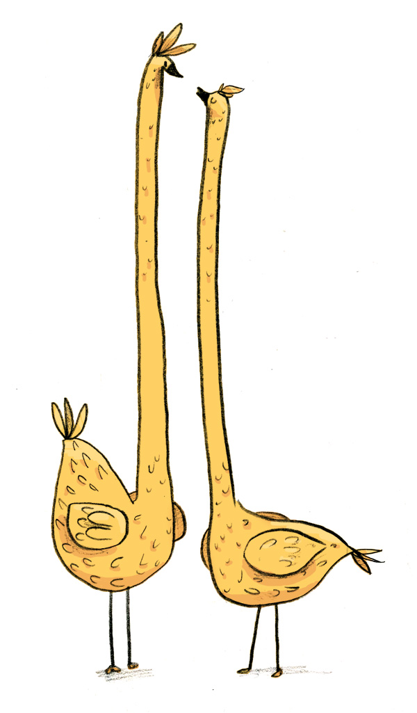 tall birds