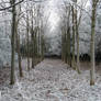 Winter Path 3