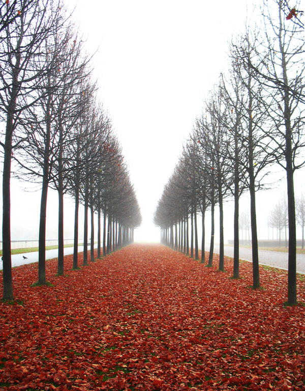 Leaves are Falling..II