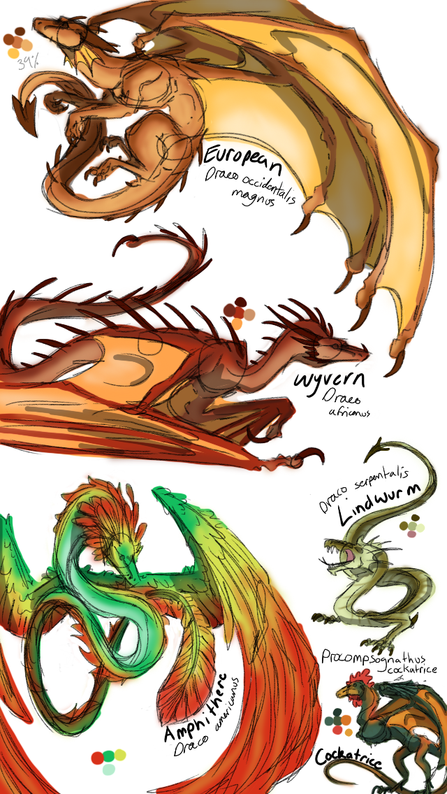 sum dragon species by Meggrahamcracker7488 on DeviantArt