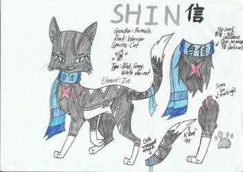 Shin Shadowpool Refrence Sheet( reupload)