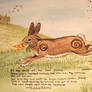 Watership Down