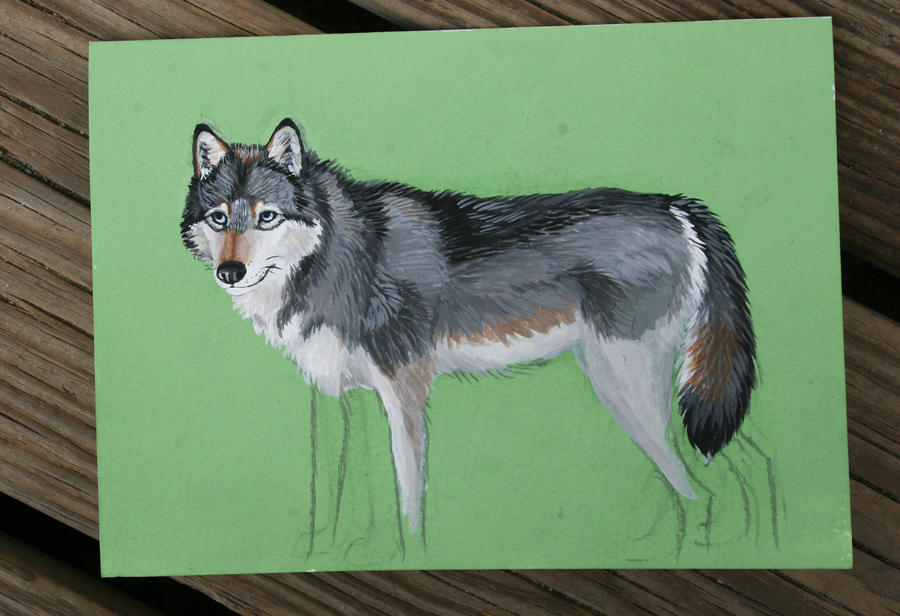 Wolf Painting Process