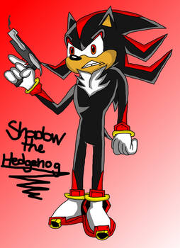 Shadow the Hedgehog