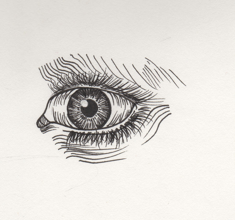 Line Drawing Eyelets Eye Line Drawing by Pheelip2010 on DeviantArt