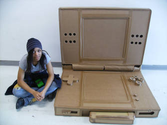 Cardboard DSlite