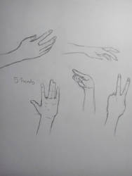 Hand Sketches