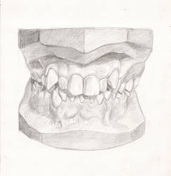 Old teeth