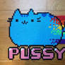 Rainbow Pussy Pusheen