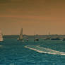 Sailboat Racing