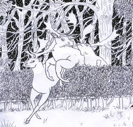 3 stags