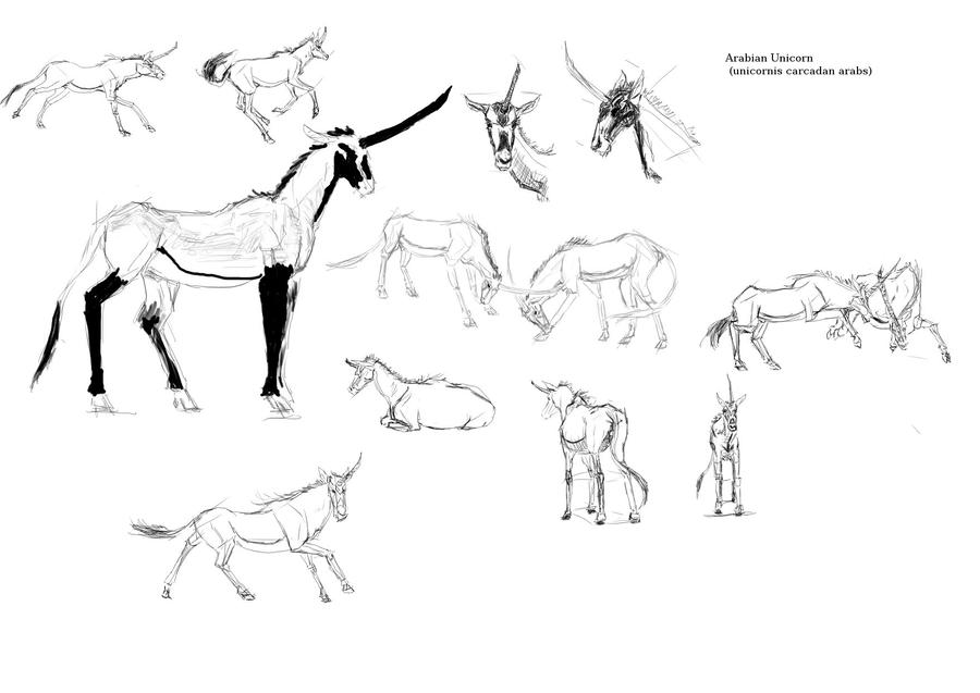 Arabian Unicorn study sheet