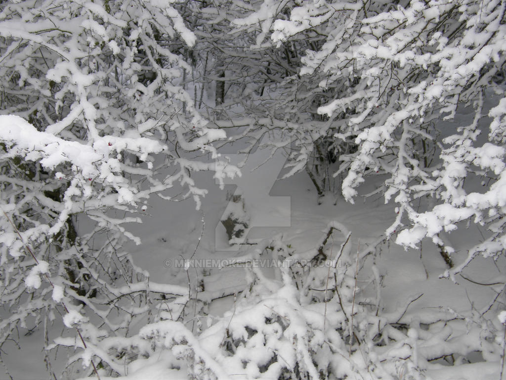 Deviantart Snow Snow scene 8 by Minniemoke on DeviantArt