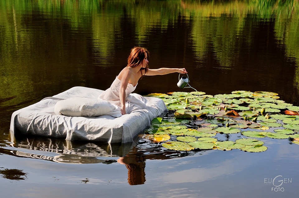 STORY...Never Tempt The Lily Pond