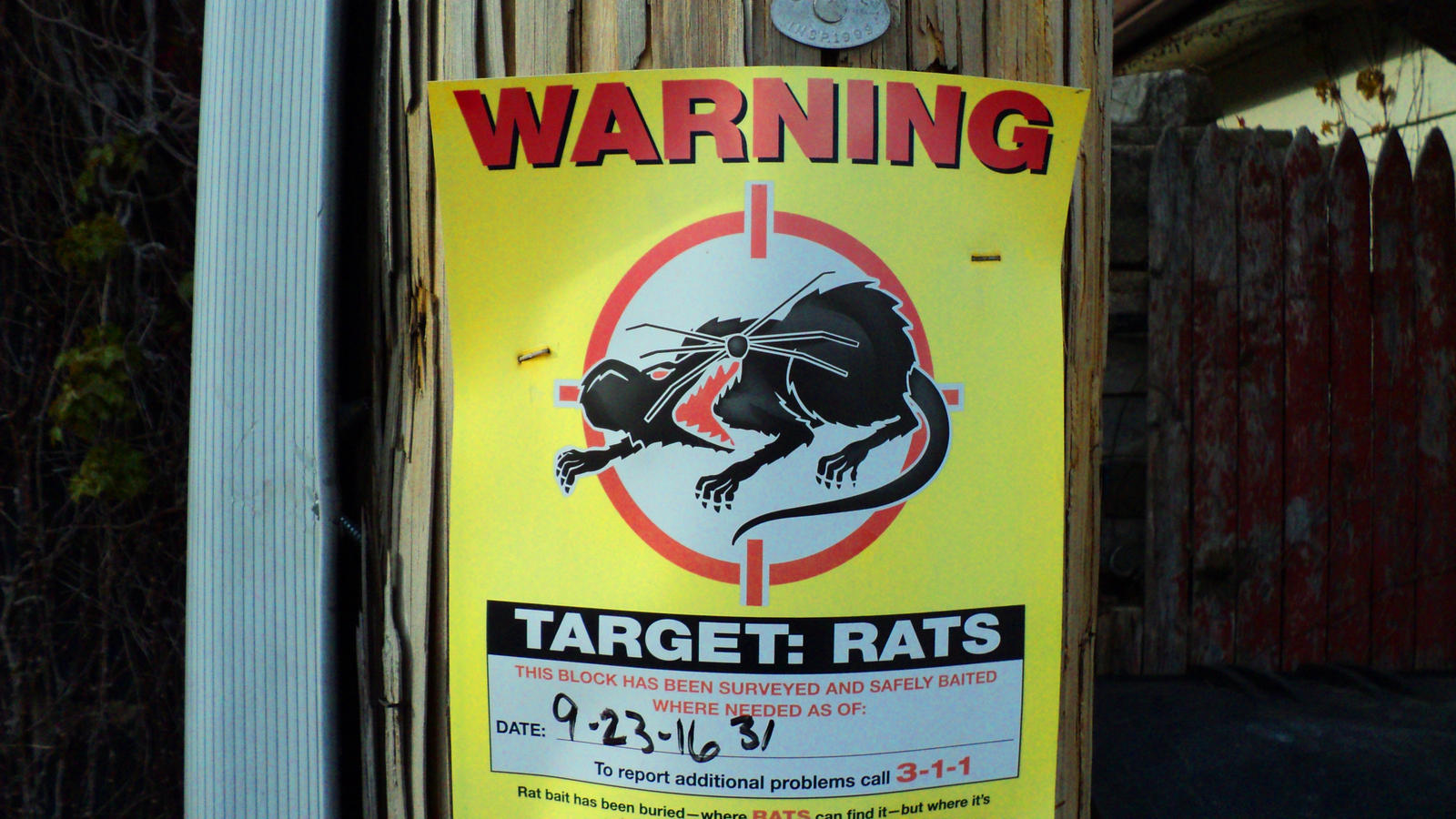 Chicago Target Rats Sign Rat Warning by darkriddle1 on DeviantArt