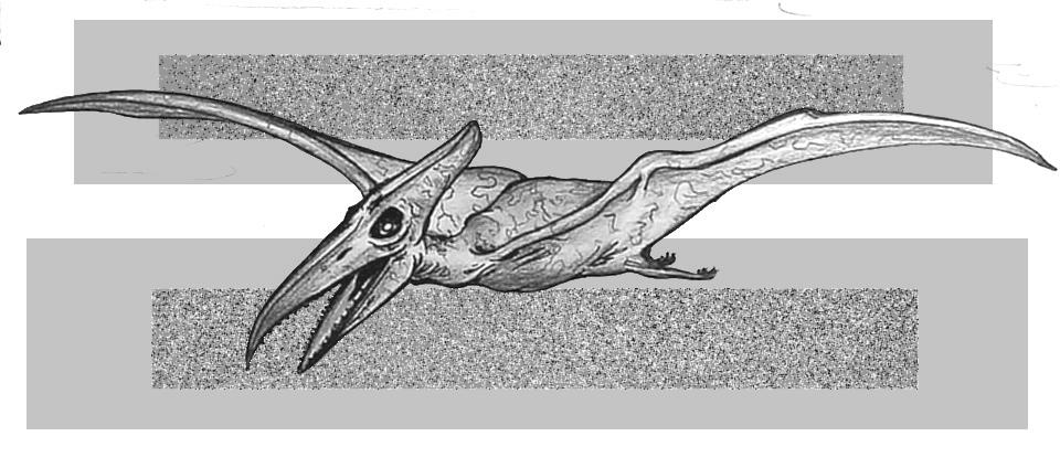 Relistic pterodactyl species : r/SpeculativeEvolution