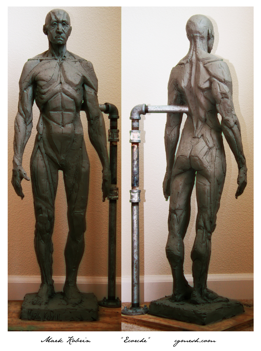 Ecorche body study