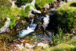 Tilt-Shift4 by thelastrunaway