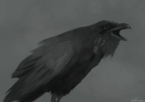 Crow