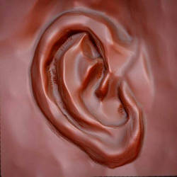 3d ear