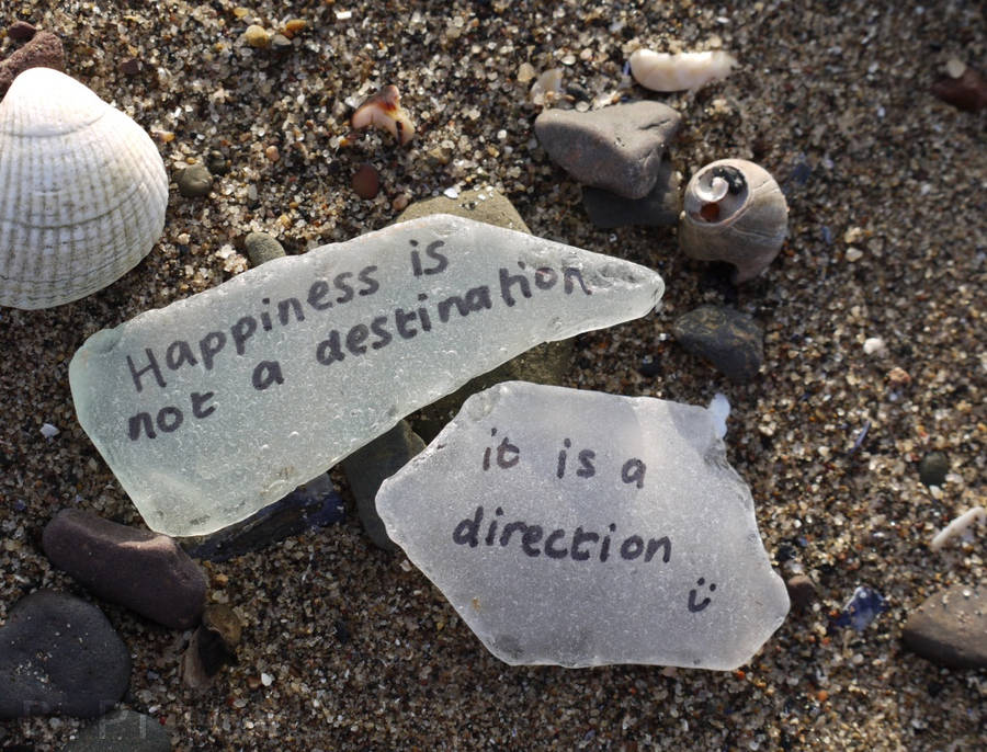 The Path To Happiness by Rhiallom