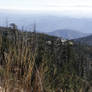 Great Smoky Mountains 4