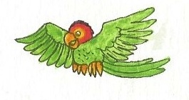 Parrot