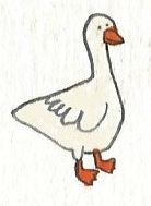 Goose