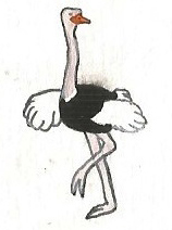 Ostrich