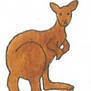 Kangaroo