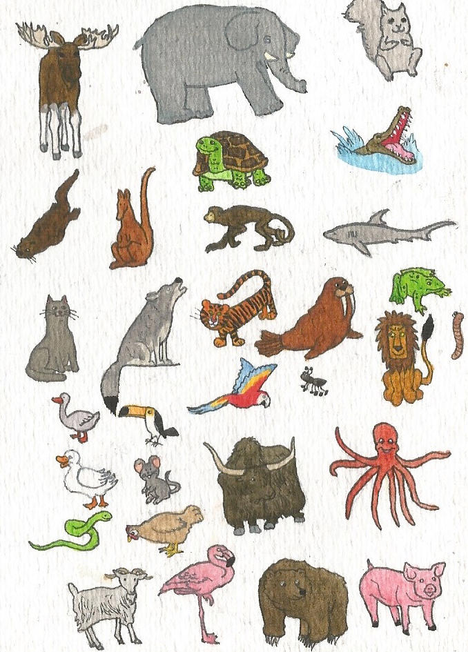 All Animals Deviantart Animals by brazilianferalcat on DeviantArt