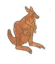 Kangaroo by brazilianferalcat on DeviantArt