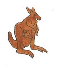 Kangaroo by brazilianferalcat on DeviantArt