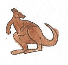 Kangaroo by brazilianferalcat on DeviantArt