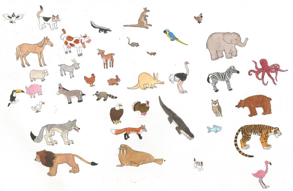 All Animals Deviantart Animals by brazilianferalcat on DeviantArt