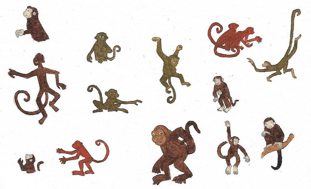 Monkeys by brazilianferalcat on DeviantArt