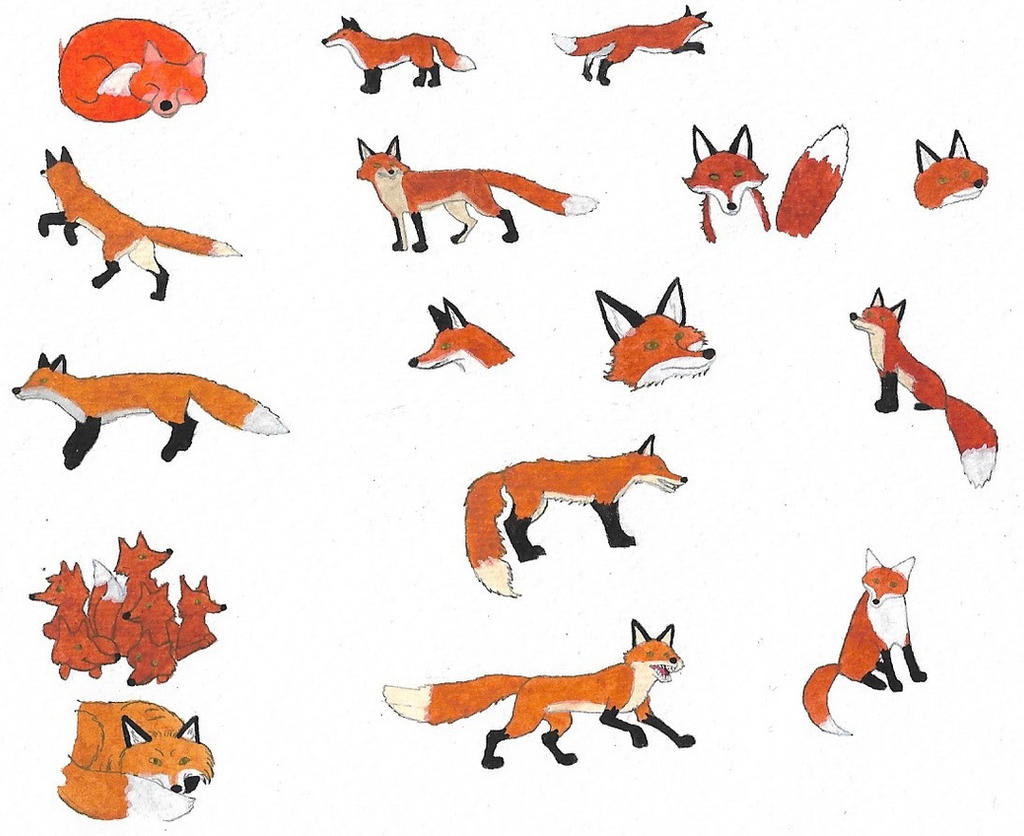 Deviantart Foxes Foxes by brazilianferalcat on DeviantArt